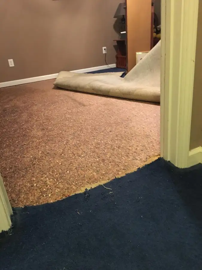 Carpet pad removal revealing water damage during Drying & Dehumidification in St. James