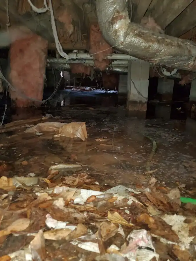 Crawl space flood assessment for Leak Detection & Repair in St. James